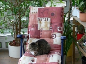 Minka auf dem Liegestuhl